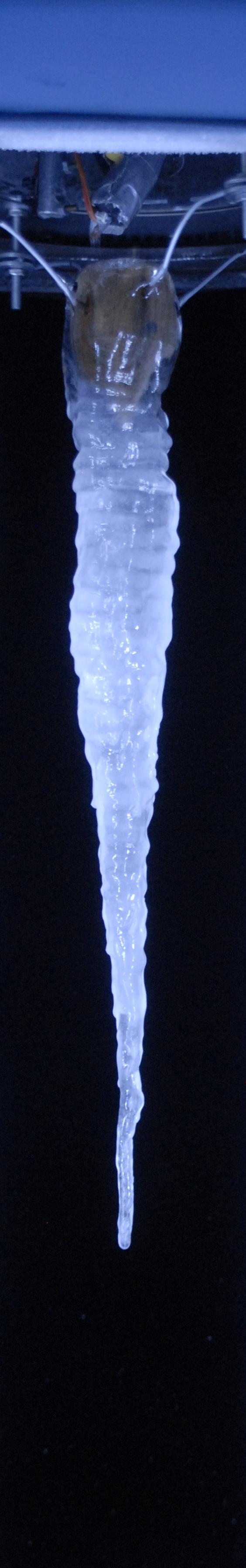 an iconic icicle