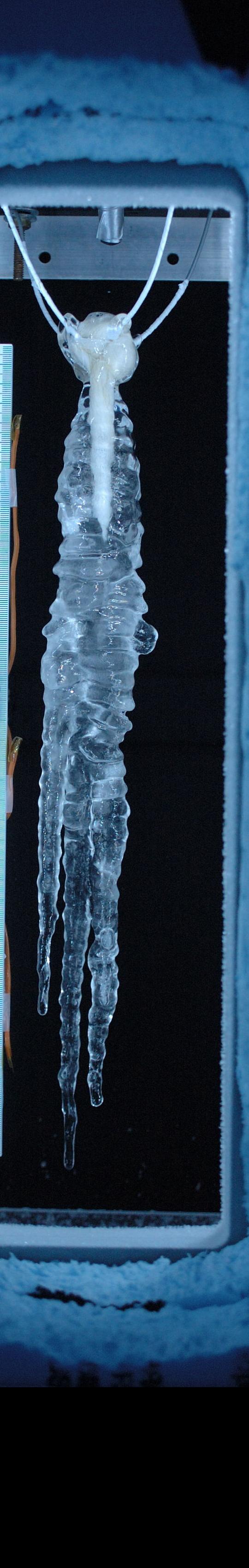 an iconic icicle