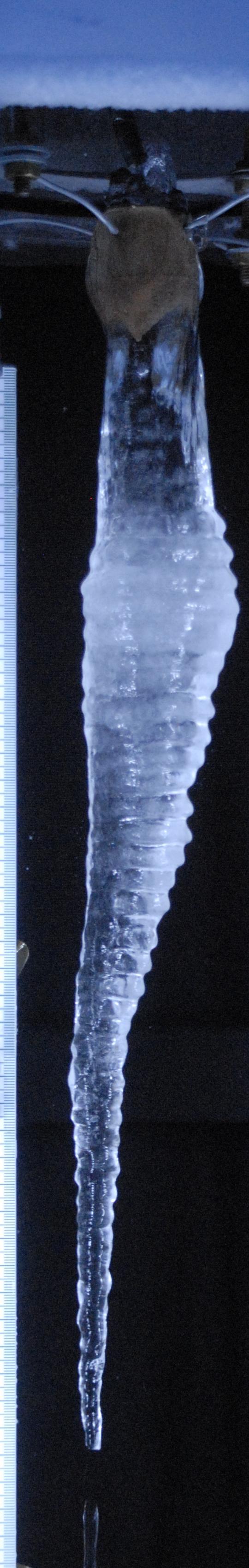 an iconic icicle