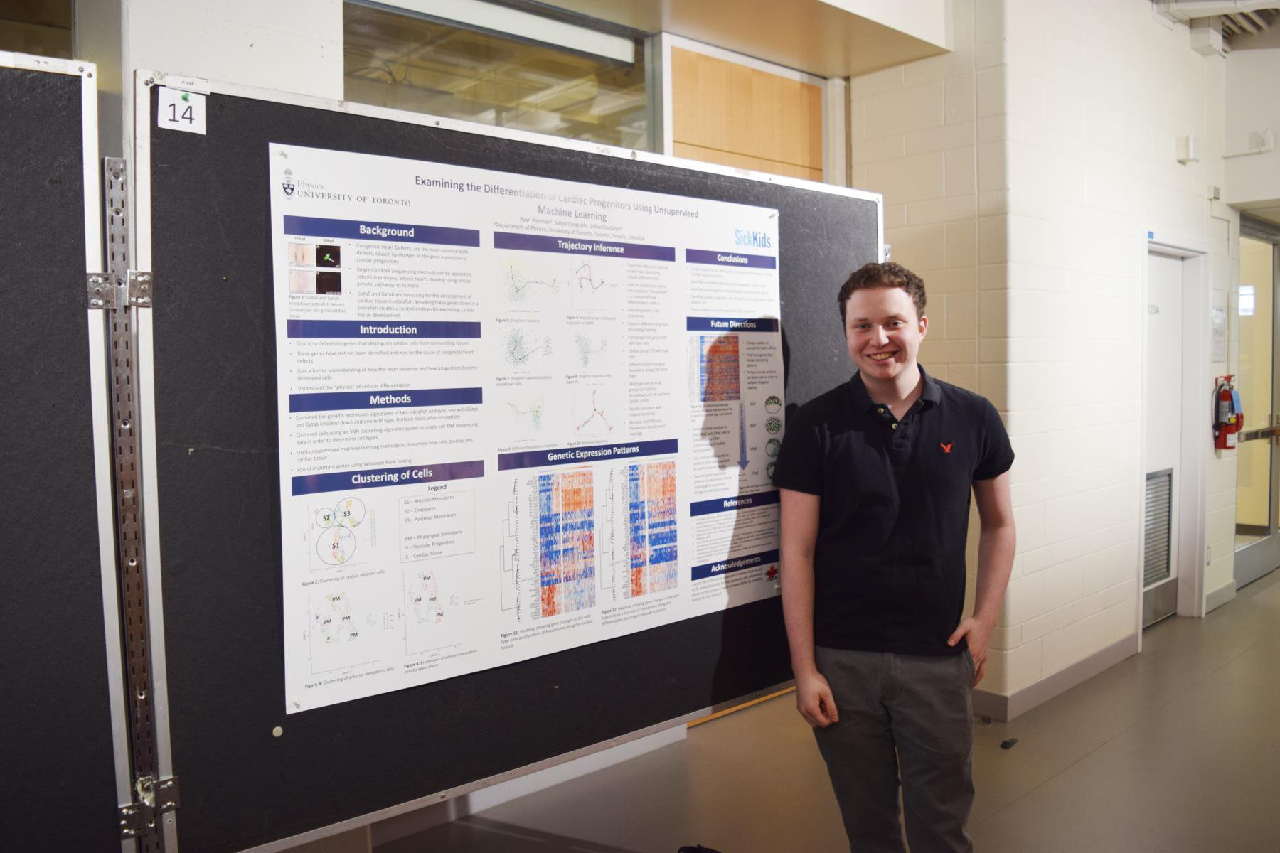 Examining the Differentiation of Cardiac Progenitors Using Unsupervised Machine Learning