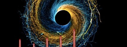 page banner