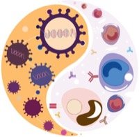Desai_viralimmune24