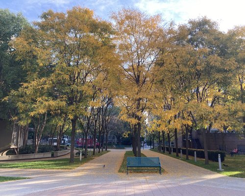 McLennan Physical Labs Walkway