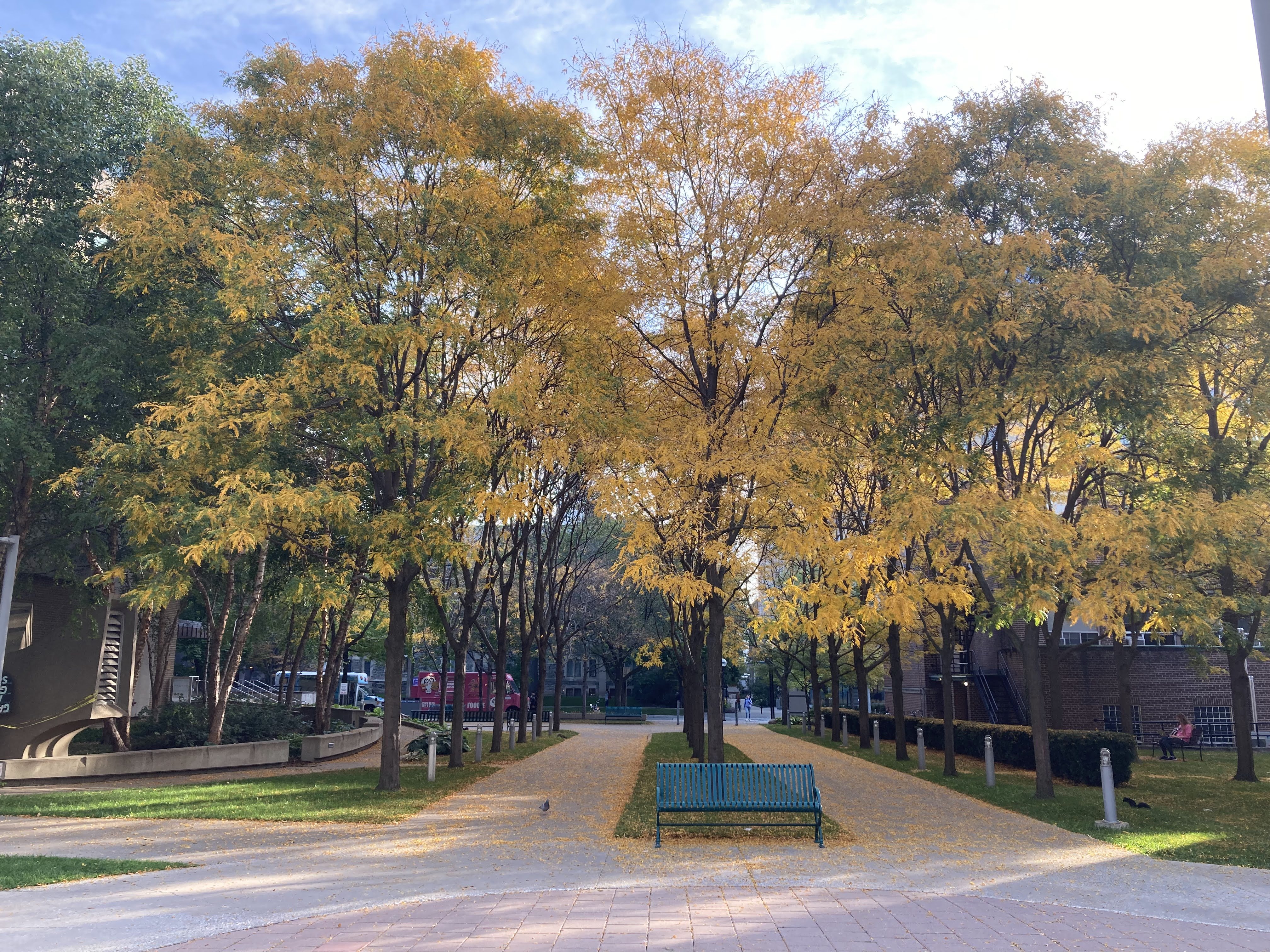 McLennan Physical Labs Walkway