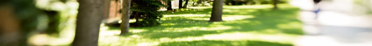 page banner