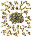 Intrinsically Disordered Proteins (IDPs)