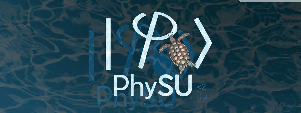 page banner