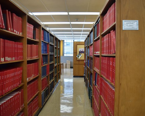 shelves Lilian Leung and Pius Santiago