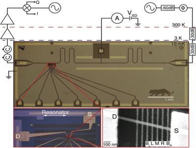 Cavity Quantum Electrodynamics