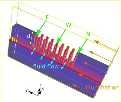 Design Principles for Lab-in-a-Photonic-Crystal Biosensors