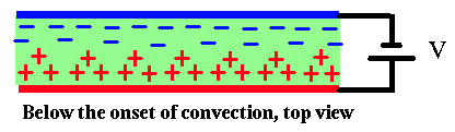 Electroconvection, top view