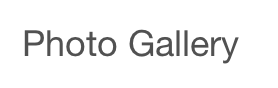 Photo Gallery