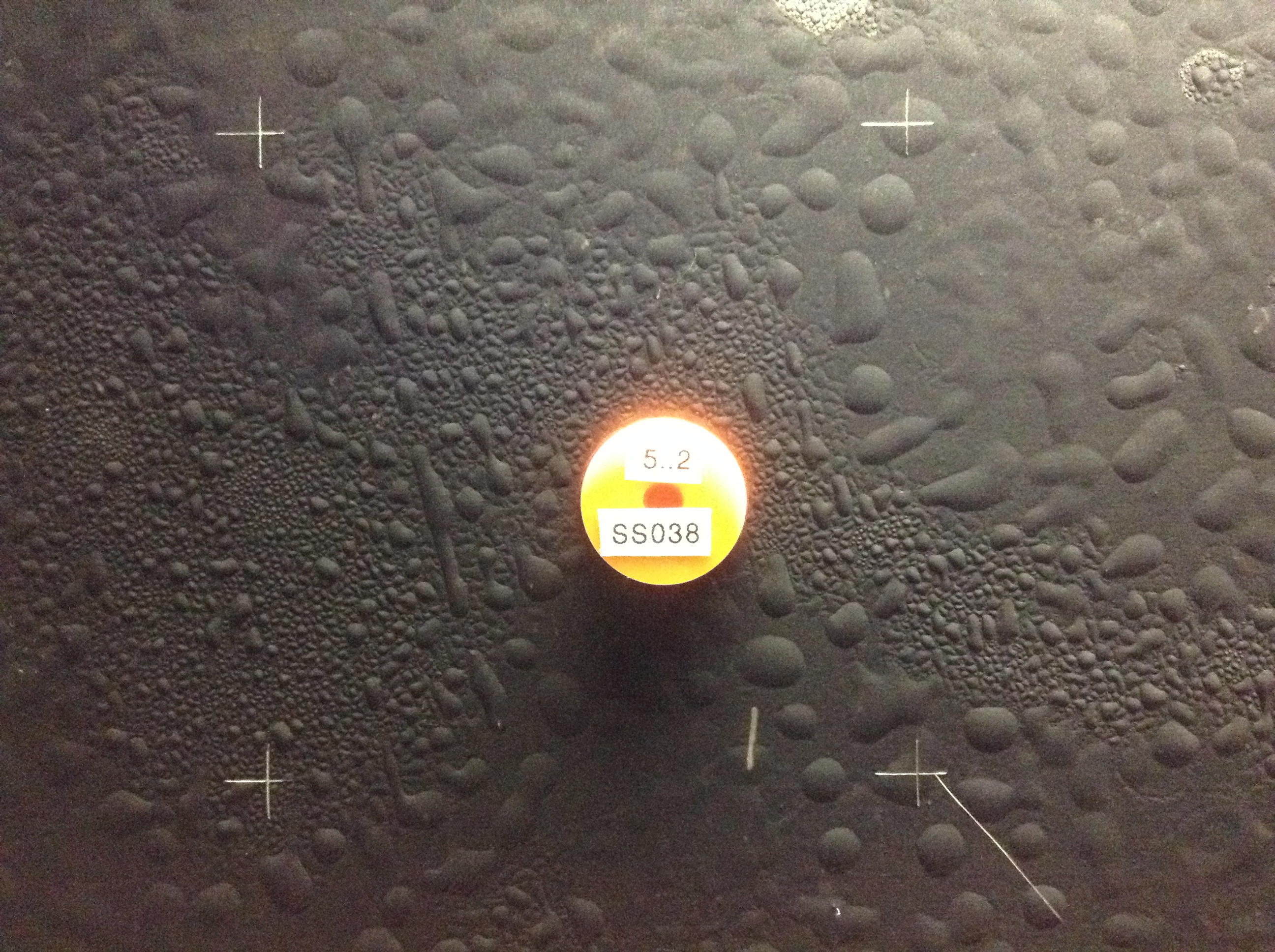 Photo of plastic disk radioactive source set in middle of cloud chamber floor