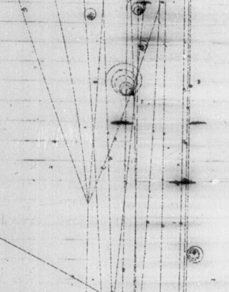 Example bubble chamber image.