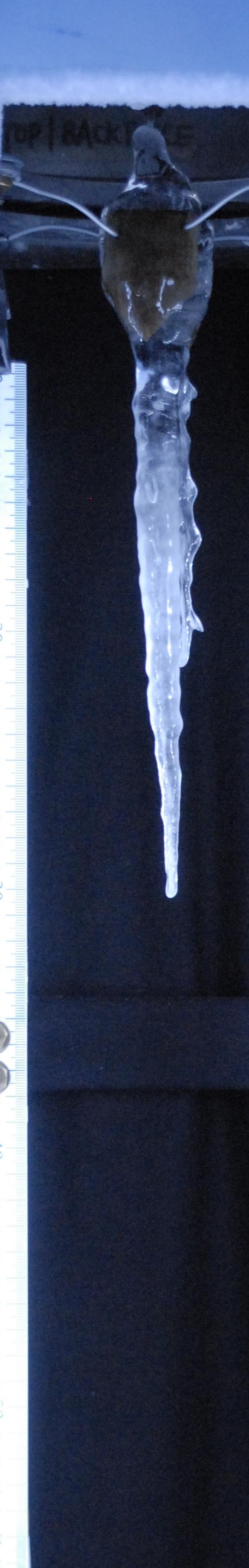 an iconic icicle